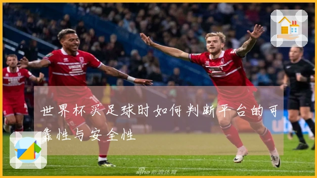 世界杯买足球时如何判断平台的可靠性与安全性