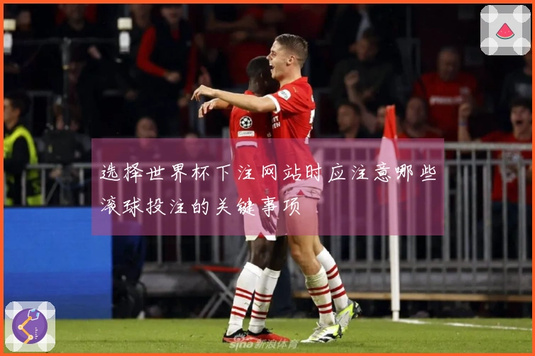 选择世界杯下注网站时应注意哪些滚球投注的关键事项