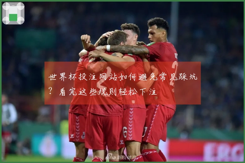 世界杯投注网站如何避免常见踩坑？看完这些规则轻松下注