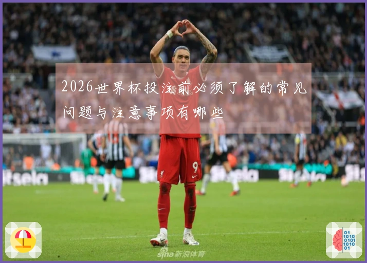 2026世界杯投注前必须了解的常见问题与注意事项有哪些