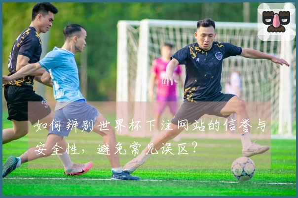 如何辨别世界杯下注网站的信誉与安全性，避免常见误区？